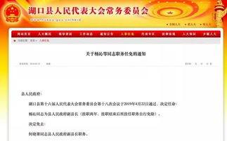 杨沁副县长 背景,从基层奋斗到领导岗位的励志典范